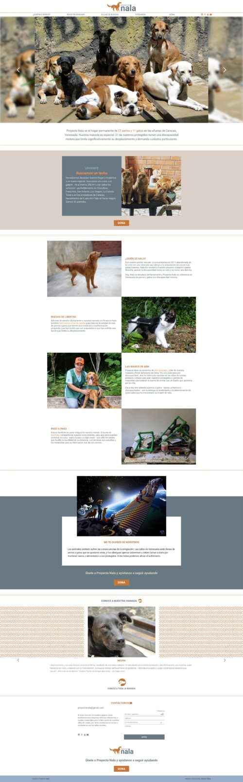 Proyecto Nala | New website for the permanent home of 27 dogs and 11 cats with disabilities. Developed with WordPress with bootstrap 4 and sass. Responsive, with infinite scrolling and mansory.